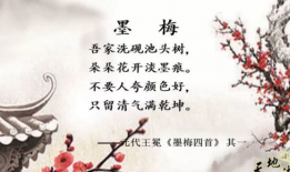 古诗视频,古诗视频中的古典韵味与时代共鸣